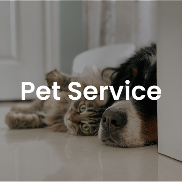 TrustistTransfer Pet Service 1
